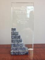 Costello Dismantling receives 2013 NDA Environmental Excellence Award